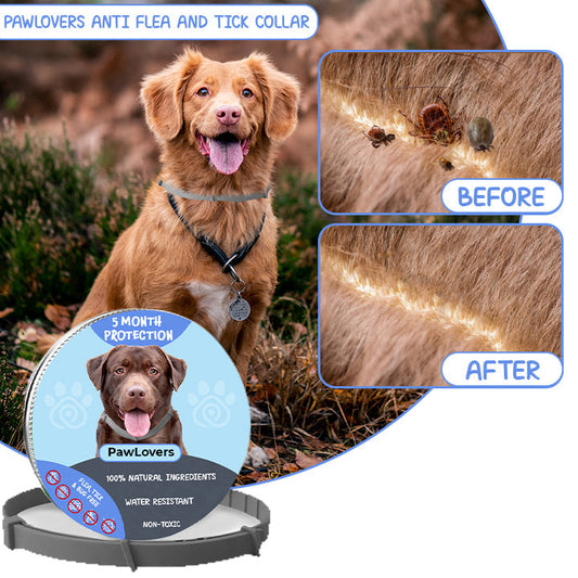 Anti Flea And Tick Collar