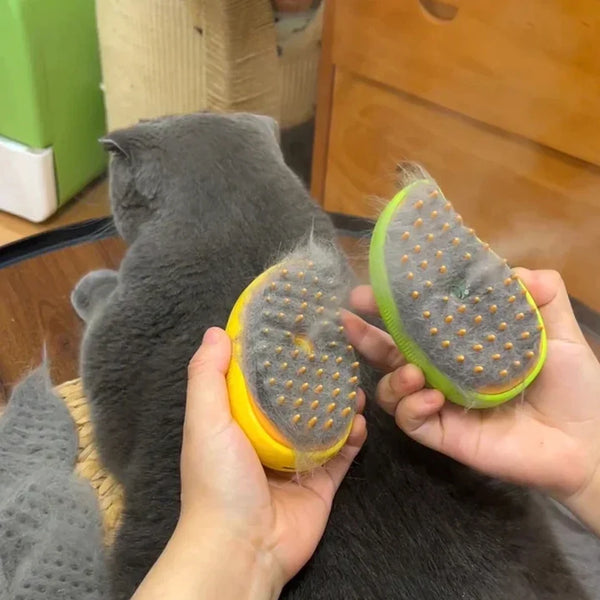 Steamy Pet Comb